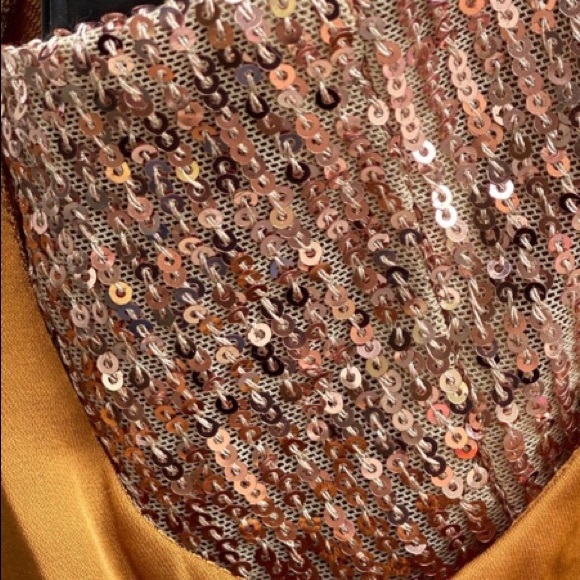 FP Rose-Gold Sparkling Mesh Bandeau with Shimmering Amber Adjustable Camisole - Picture 10 of 16